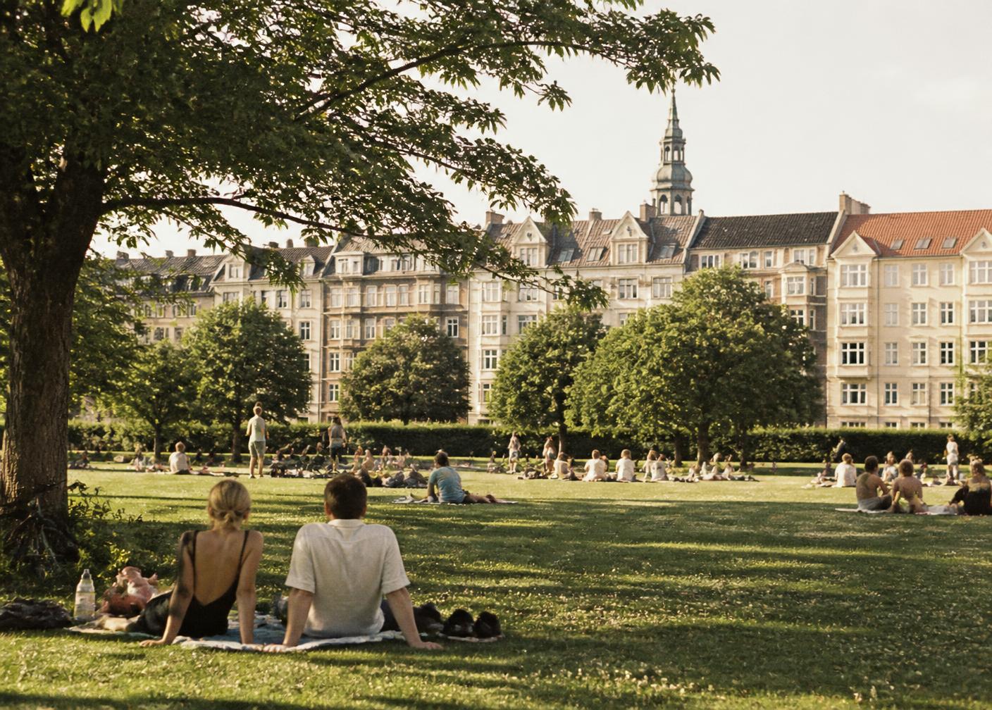 People sitting on the grass in a Copenhagen park on a summer afternoon